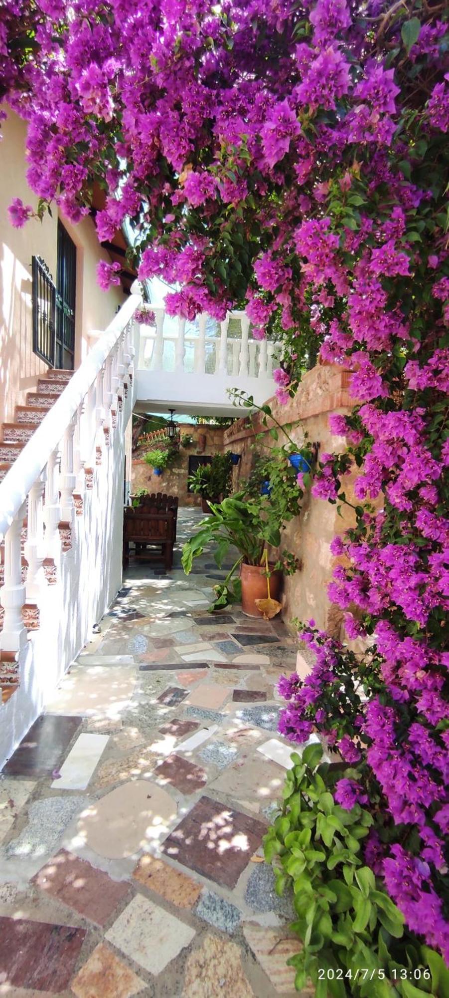 Cortijo De Las Flores Cazorla La Iruela Buitenkant foto